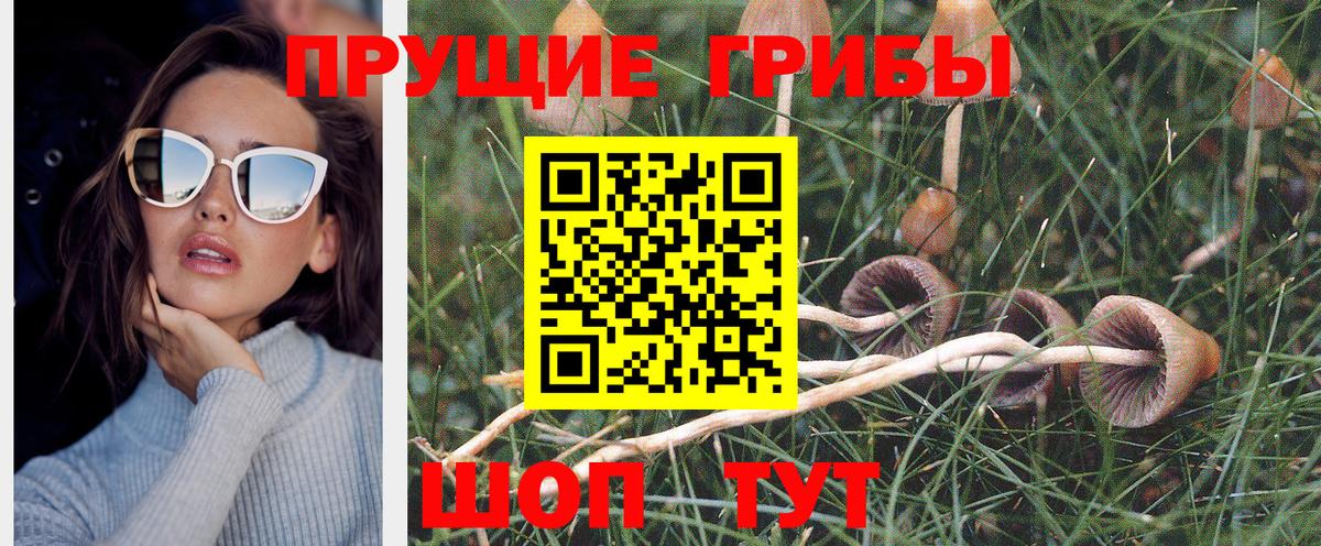 Псилоцибиновые грибы GOLDEN TEACHER Волжск
